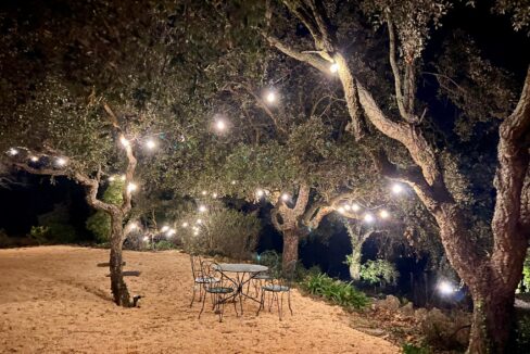 fbfa9074-130f-4cd8-9b11-af31ac1857df