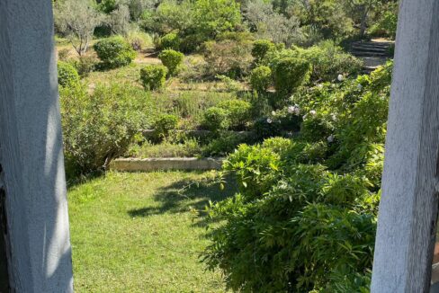 20f64e0c-3247-4def-a6a9-4a4ddc3967ea