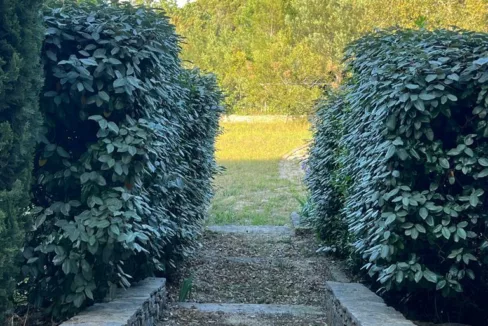 PHOTO-2023-06-19-09-57-17 3