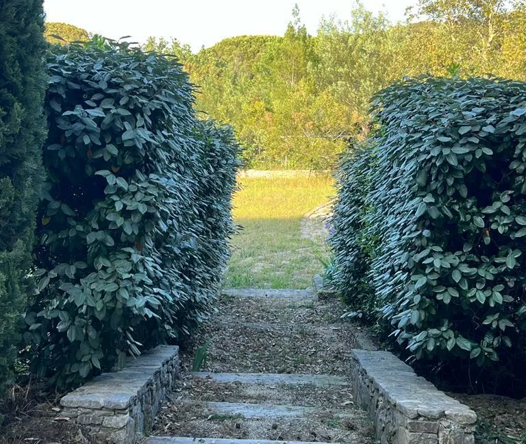 PHOTO-2023-06-19-09-57-17 3