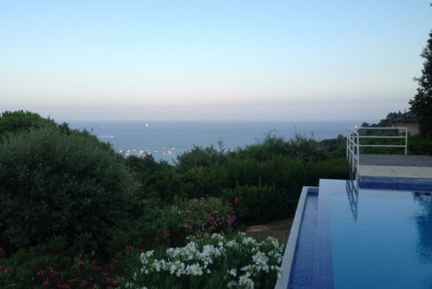 c0ce5564-03ae-437d-b099-464b599be24f 2