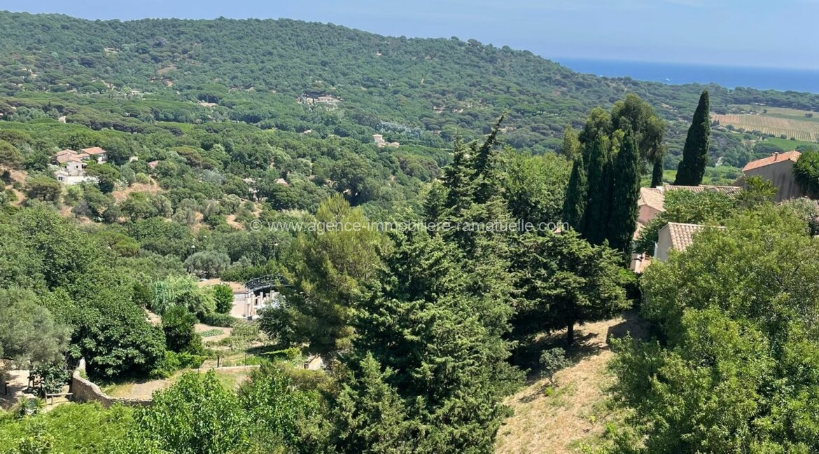 0334db28-814e-4bf0-b5ac-d5d581967efb