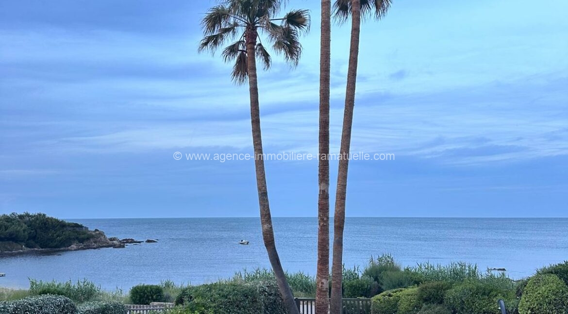 44b76393-1d77-44fa-ad46-6e4bb91d4420