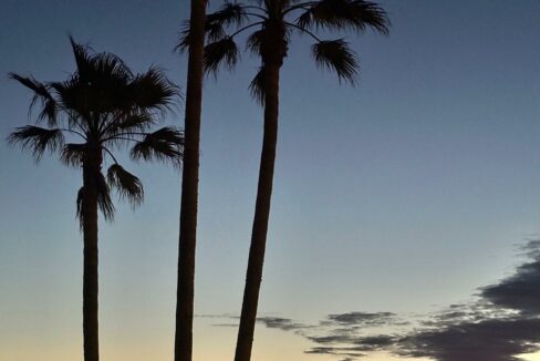 6110f423-e03f-4c6f-b266-f3acc8672cc6