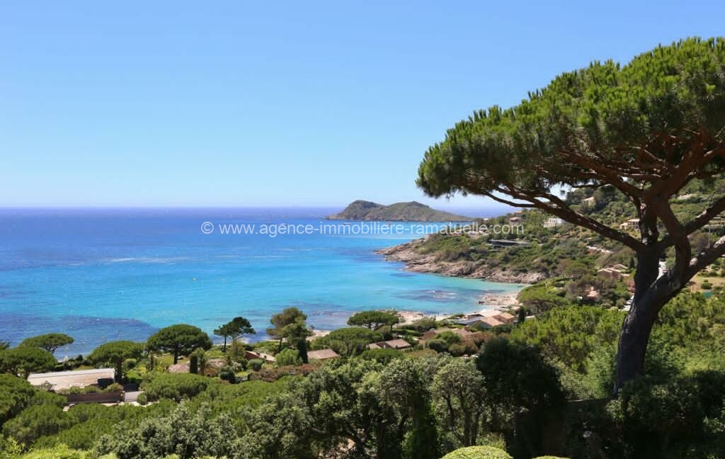 PHOTO-2021-04-15-12-09-32 3