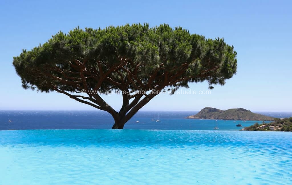 PHOTO-2021-04-15-12-09-33