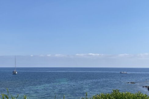 IMG_4807